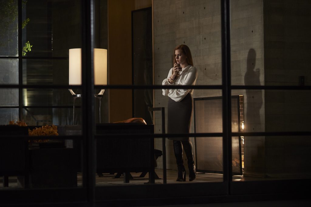 Nocturnal animals Amy Adams 